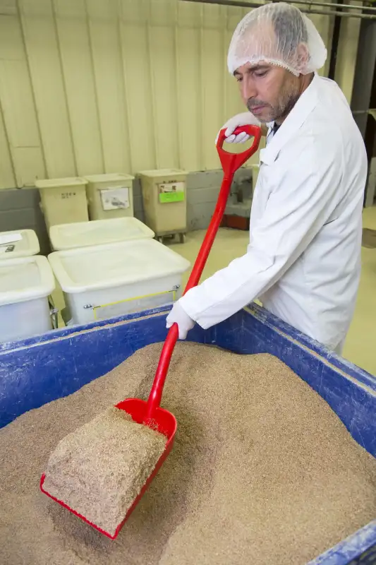 56115__3.jpg